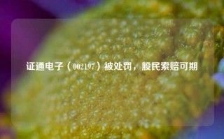 证通电子（002197）被处罚，股民索赔可期