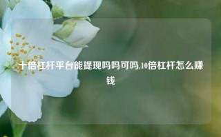 十倍杠杆平台能提现吗吗可吗,10倍杠杆怎么赚钱