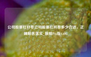 公司股票杠杆率公司股票杠杆率多少合适，正确解答落实_旗舰Pro版4.695