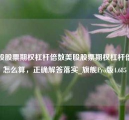 美股股票期权杠杆倍数美股股票期权杠杆倍数怎么算，正确解答落实_旗舰Pro版4.685