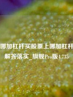 买股票上哪加杠杆买股票上哪加杠杆啊，正确解答落实_旗舰Pro版4.735