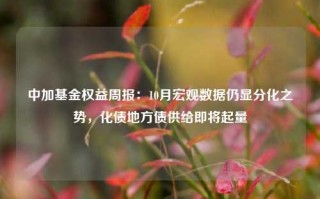 中加基金权益周报：10月宏观数据仍显分化之势，化债地方债供给即将起量