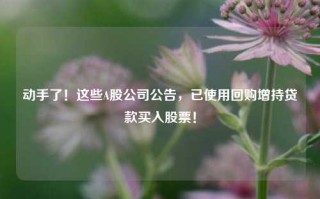 动手了！这些A股公司公告，已使用回购增持贷款买入股票！