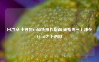 田洪良:主要货币短线操作指南 美指周三上涨在104.60之下遇阻