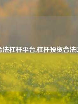 合法杠杆平台,杠杆投资合法吗