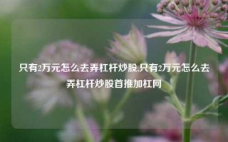 只有2万元怎么去弄杠杆炒股,只有2万元怎么去弄杠杆炒股首推加杠网