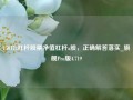 150172杠杆股票净值杠杆a股，正确解答落实_旗舰Pro版4.719