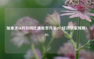 加拿大10月份同比通胀率升至2% 经济学家预期1.9%