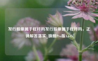 发行股票属于杠杆吗发行股票属于杠杆吗，正确解答落实_旗舰Pro版4.645