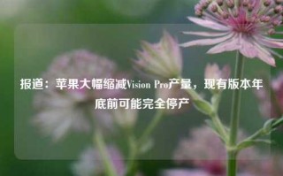 报道：苹果大幅缩减Vision Pro产量，现有版本年底前可能完全停产