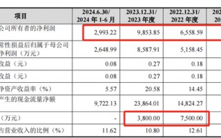 胜科纳米IPO：2年分红1.1亿，实控人却负债1亿