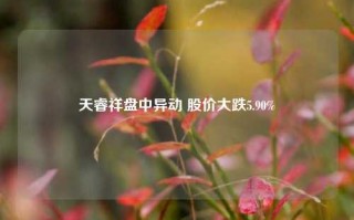 天睿祥盘中异动 股价大跌5.90%