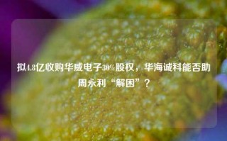 拟4.8亿收购华威电子30%股权，华海诚科能否助周永利“解困”？