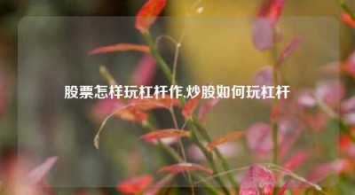 股票怎样玩杠杆作,炒股如何玩杠杆