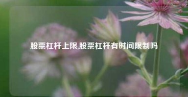 股票杠杆上限,股票杠杆有时间限制吗