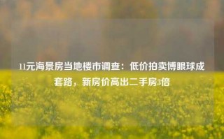 11元海景房当地楼市调查：低价拍卖博眼球成套路，新房价高出二手房3倍