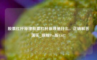 股票杠杆原理股票杠杆原理是什么，正确解答落实_旗舰Pro版4.687