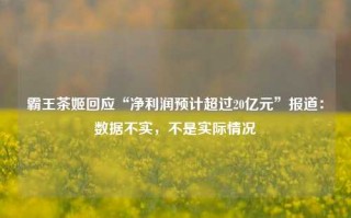 霸王茶姬回应“净利润预计超过20亿元”报道：数据不实，不是实际情况