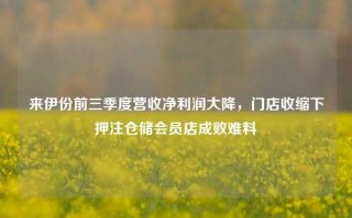 来伊份前三季度营收净利润大降，门店收缩下押注仓储会员店成败难料