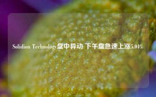 Solidion Technology盘中异动 下午盘急速上涨5.04%