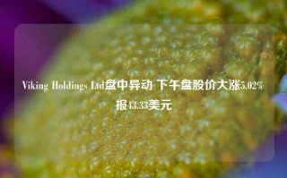 Viking Holdings Ltd盘中异动 下午盘股价大涨5.02%报43.33美元