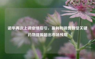 诺华再次上调业绩指引，盈利和销售额受关键药物提振超出市场预期