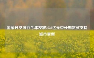 国家开发银行今年发放2730亿元中长期贷款支持城市更新