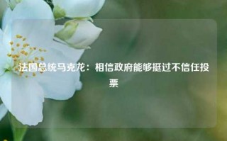 法国总统马克龙：相信政府能够挺过不信任投票