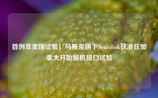 首例非美国试验！马斯克旗下Neuralink获准在加拿大开始脑机接口试验