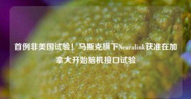 首例非美国试验！马斯克旗下Neuralink获准在加拿大开始脑机接口试验