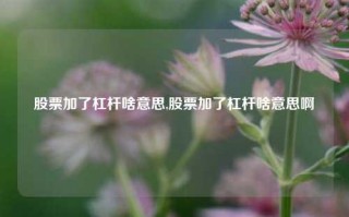 股票加了杠杆啥意思,股票加了杠杆啥意思啊