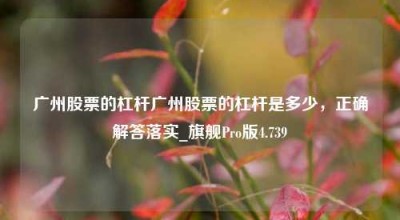 广州股票的杠杆广州股票的杠杆是多少，正确解答落实_旗舰Pro版4.739