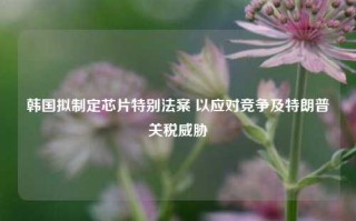 韩国拟制定芯片特别法案 以应对竞争及特朗普关税威胁