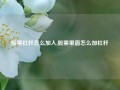 股票杠杆怎么加入,股票里面怎么加杠杆