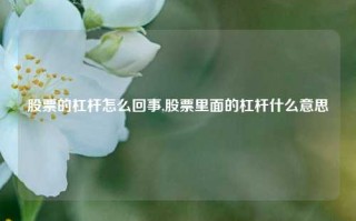 股票的杠杆怎么回事,股票里面的杠杆什么意思