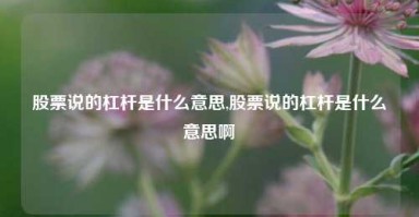 股票说的杠杆是什么意思,股票说的杠杆是什么意思啊