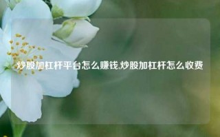 炒股加杠杆平台怎么赚钱,炒股加杠杆怎么收费