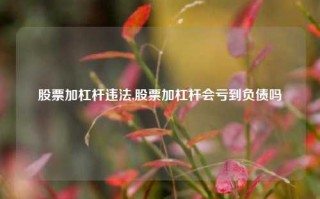 股票加杠杆违法,股票加杠杆会亏到负债吗