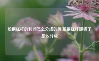 股票杠杆的利润怎么分成的呢,股票杠杆赚钱了怎么分成