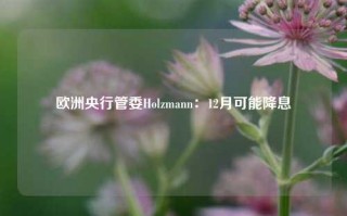 欧洲央行管委Holzmann：12月可能降息