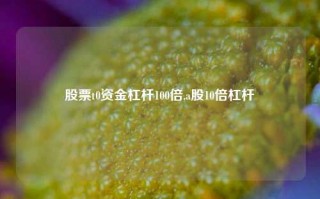 股票t0资金杠杆100倍,a股10倍杠杆