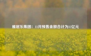 雅居乐集团：11月预售金额合计为12亿元