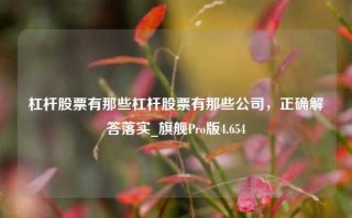 杠杆股票有那些杠杆股票有那些公司，正确解答落实_旗舰Pro版4.654