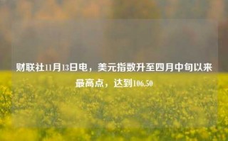 财联社11月13日电，美元指数升至四月中旬以来最高点，达到106.50