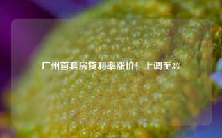 广州首套房贷利率涨价！上调至3%