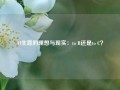 AI生意的理想与现实：to B还是to C？