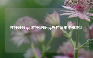 杠杆炒股app,杠杆炒股app光控资本注册地址