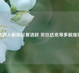 机器人板块反复活跃 贝仕达克等多股涨停