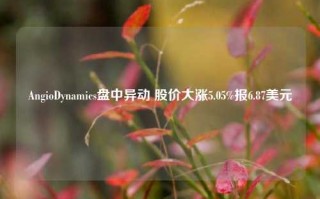 AngioDynamics盘中异动 股价大涨5.05%报6.87美元