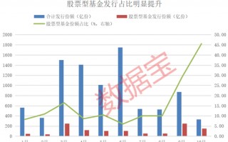 资金跑步进场！10月出现6只“日光基”